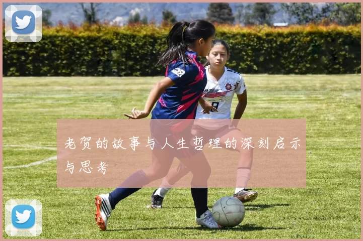 老贺的故事与人生哲理的深刻启示与思考